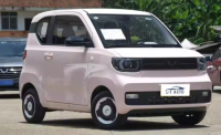 Wuling Mini Ev Car