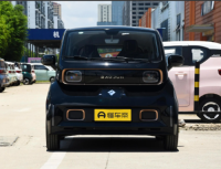 Baojun Kiwi EV (E300)