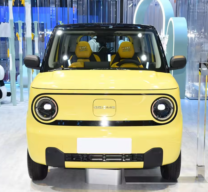 Geely Geometry Ev Car